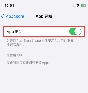 枣强苹果15维修中心如何让iPhone15APP自动更新