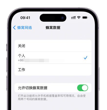 枣强苹果维修服务分享如何在iPhone上使用双卡 